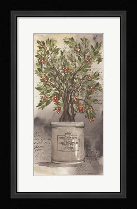 Framed Bittersweet Bush Print