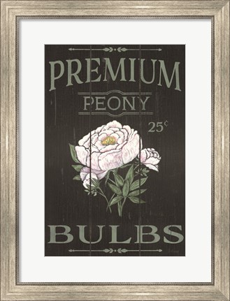 Framed Peony Blubs Print
