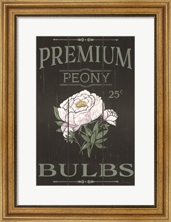 Framed Peony Blubs Print
