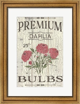 Framed Dahlia Bulbs Print
