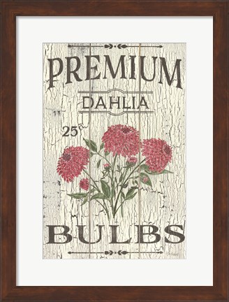 Framed Dahlia Bulbs Print