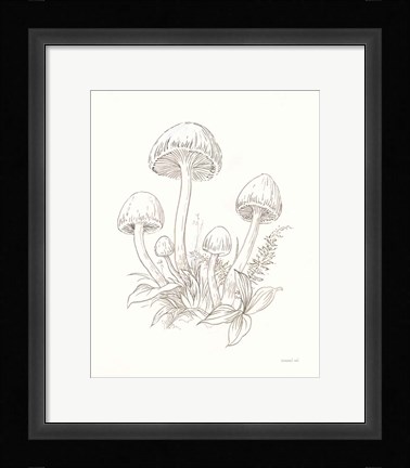 Framed Nature Sketchebook IX Print