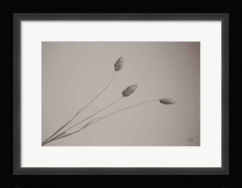 Framed Grass Study Print