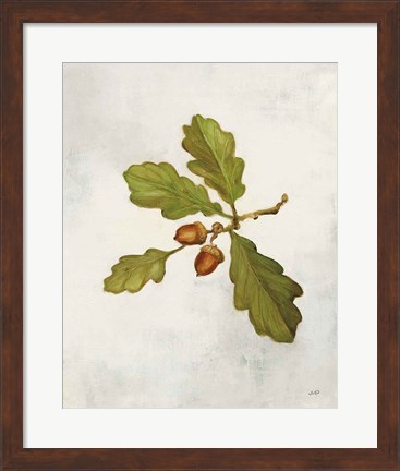 Framed Oak Branch Print