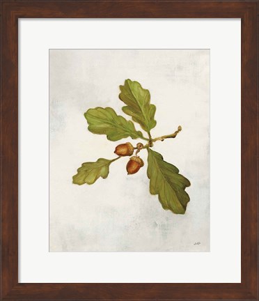 Framed Oak Branch Print