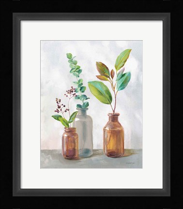 Framed Natural Riches III Charcoal Print