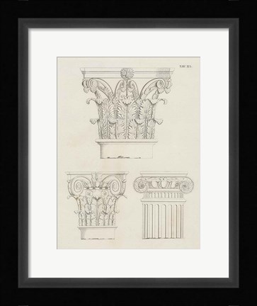 Framed Italian Volute Print