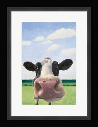 Framed Funny Cow Print