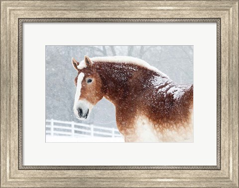 Framed Snowy Draft Horse Print