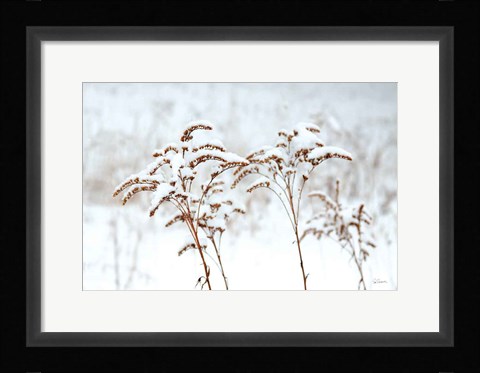Framed Snowy Gardens Print