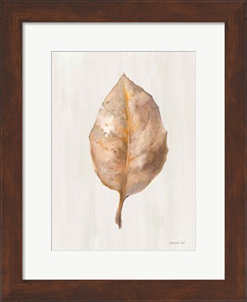 Framed Fallen Leaf II Texture Print