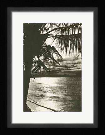 Framed Palm Beach II Print