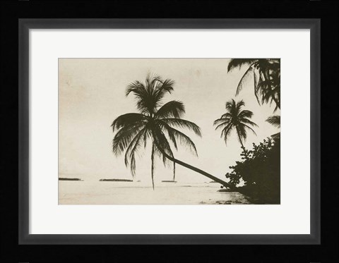 Framed Palm Beach I Print