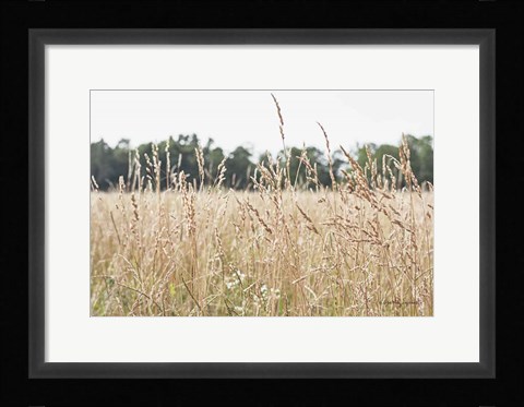 Framed Summer Field II Print
