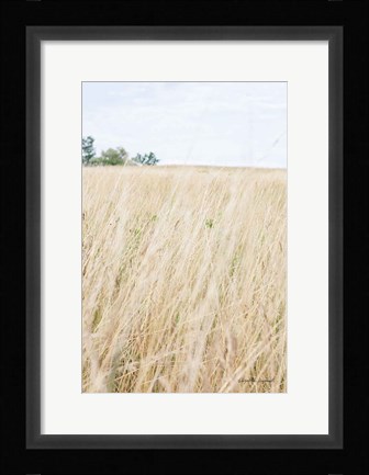 Framed On the Edge III Print