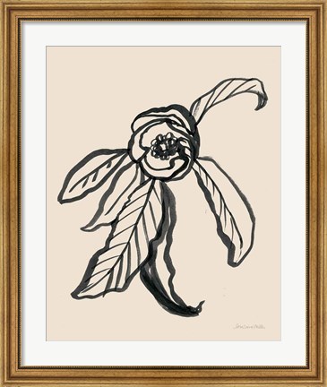 Framed Ink Sketch Flower Print