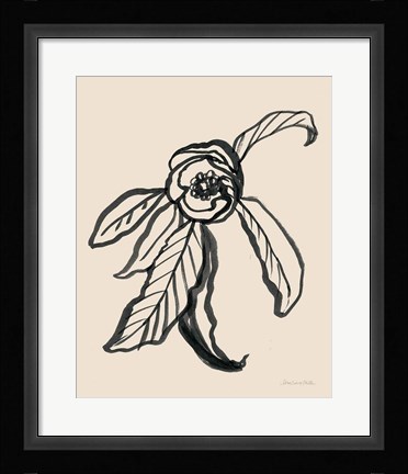 Framed Ink Sketch Flower Print