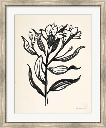 Framed Ink Flower I Cream Print