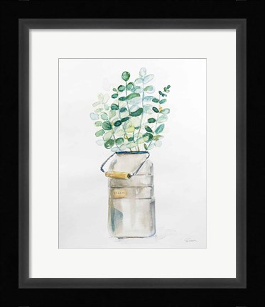 Framed Market Eucalyptus Print