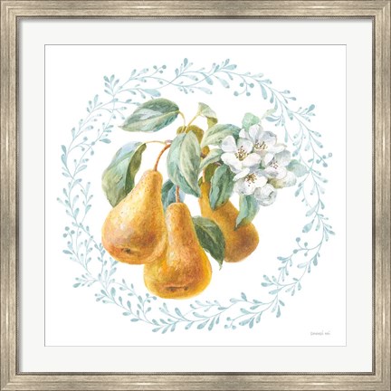 Framed Blooming Orchard IV Print
