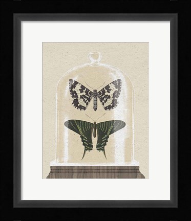 Framed Cottage Butterflies II Print