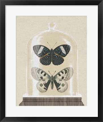 Framed Cottage Butterflies I Print