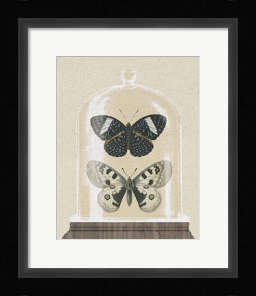 Framed Cottage Butterflies I Print