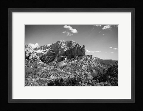 Framed Timber Top Print