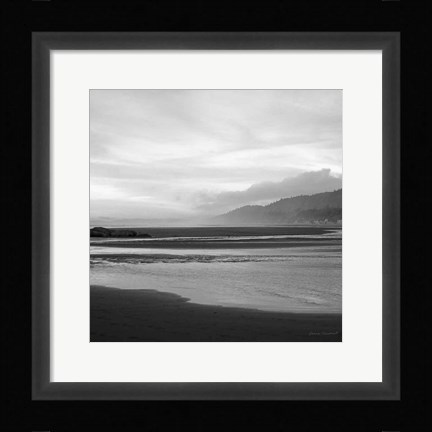 Framed Salt Creek IV Print