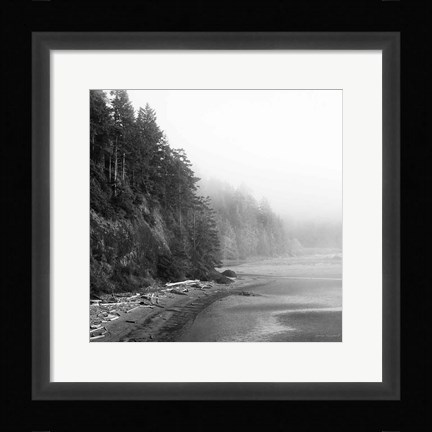 Framed Salt Creek III Print