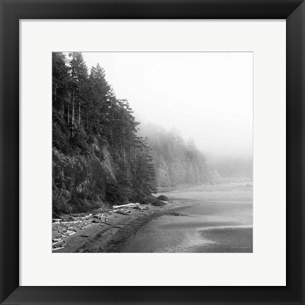 Framed Salt Creek III Print