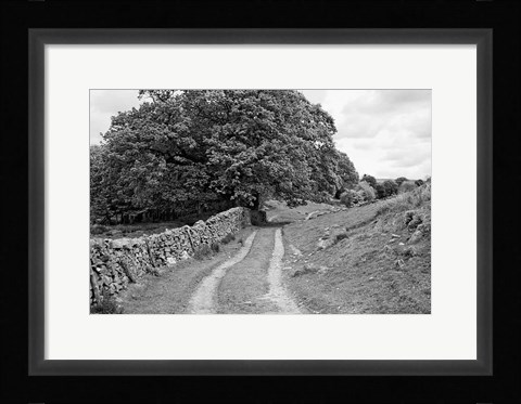 Framed Wynlass Beck Print