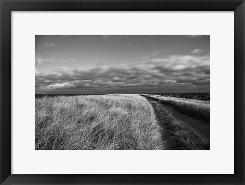 Framed Road to the Beach Print