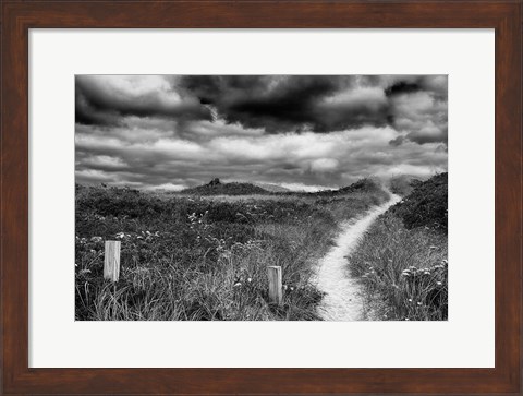 Framed Nantucket Pathway Print