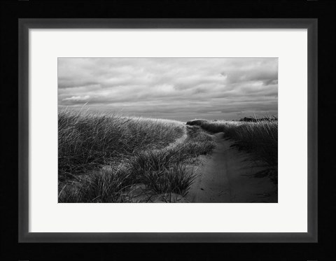 Framed Beach Grasses Print