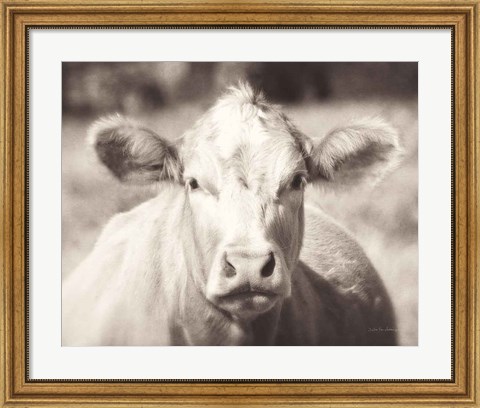 Framed Pasture Cow Neutral Print