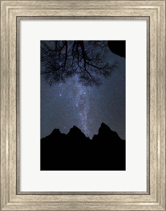 Framed Star Geyser Oatriarchs Print