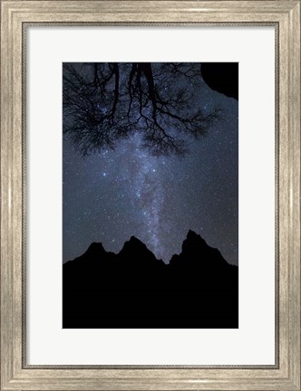 Framed Star Geyser Oatriarchs Print