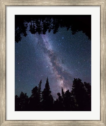 Framed Montana Sky Trees Print