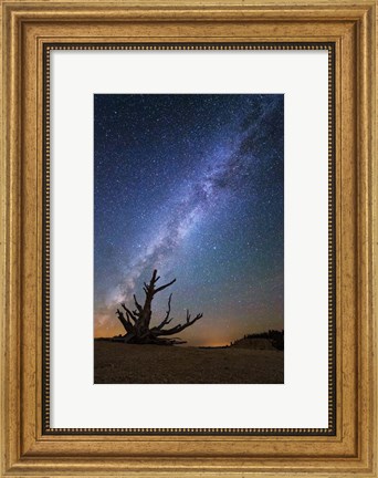 Framed Bristlecone Milky Way Bryce Print