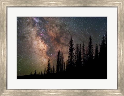 Framed Wilderness Print