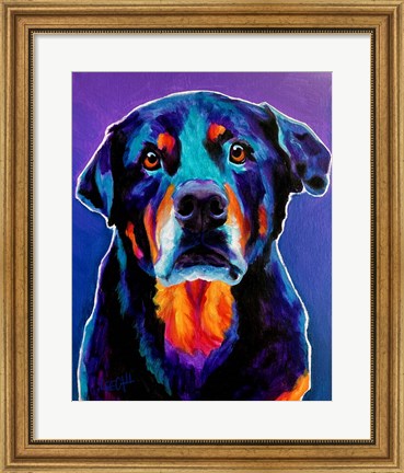 Framed Rottweiler - Nitro Print