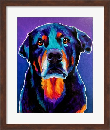 Framed Rottweiler - Nitro Print