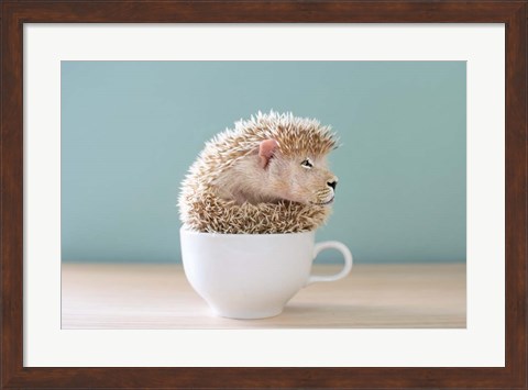 Framed Lion in a Cup Print