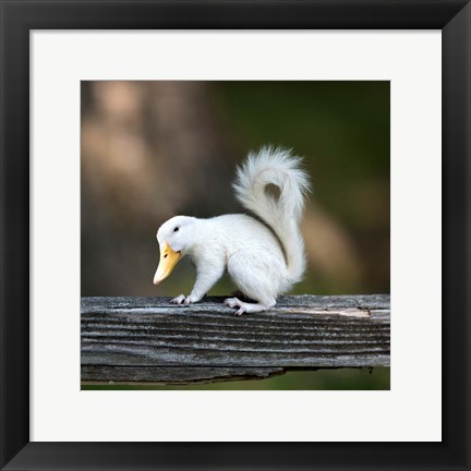 Framed Duckbilled Squirrel Print