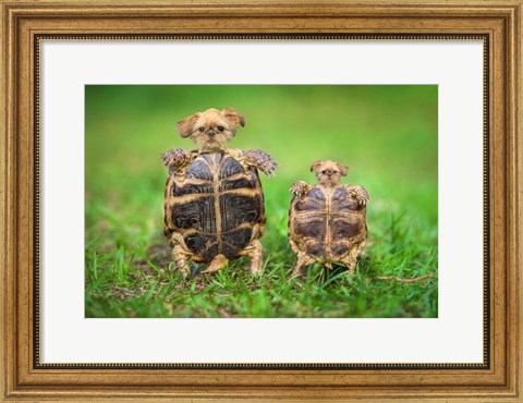 Framed Turtle Pups Print