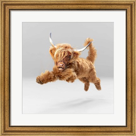 Framed Highland Pup Print
