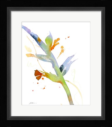 Framed Budding Print