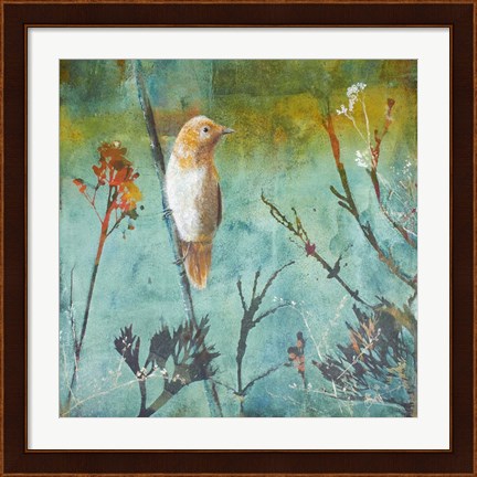 Framed Australian Reed Warbler Print
