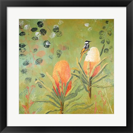 Framed New Holland Honeyeater upon the Victoria Print